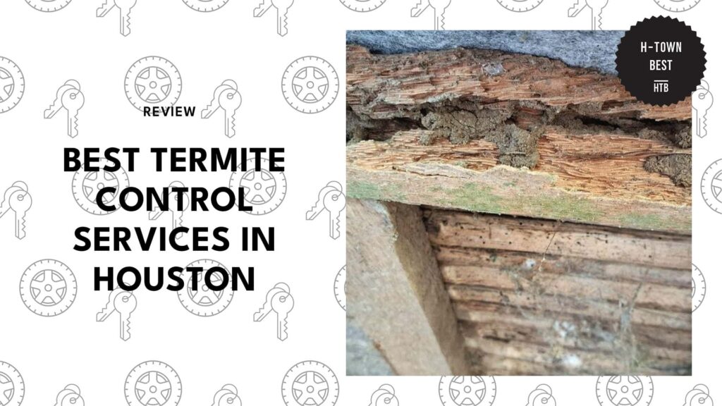 best-termite-control-houston-banner