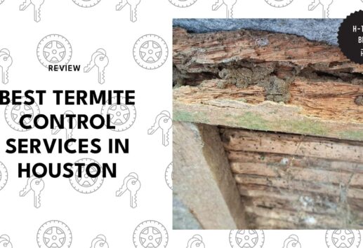 best-termite-control-houston-banner