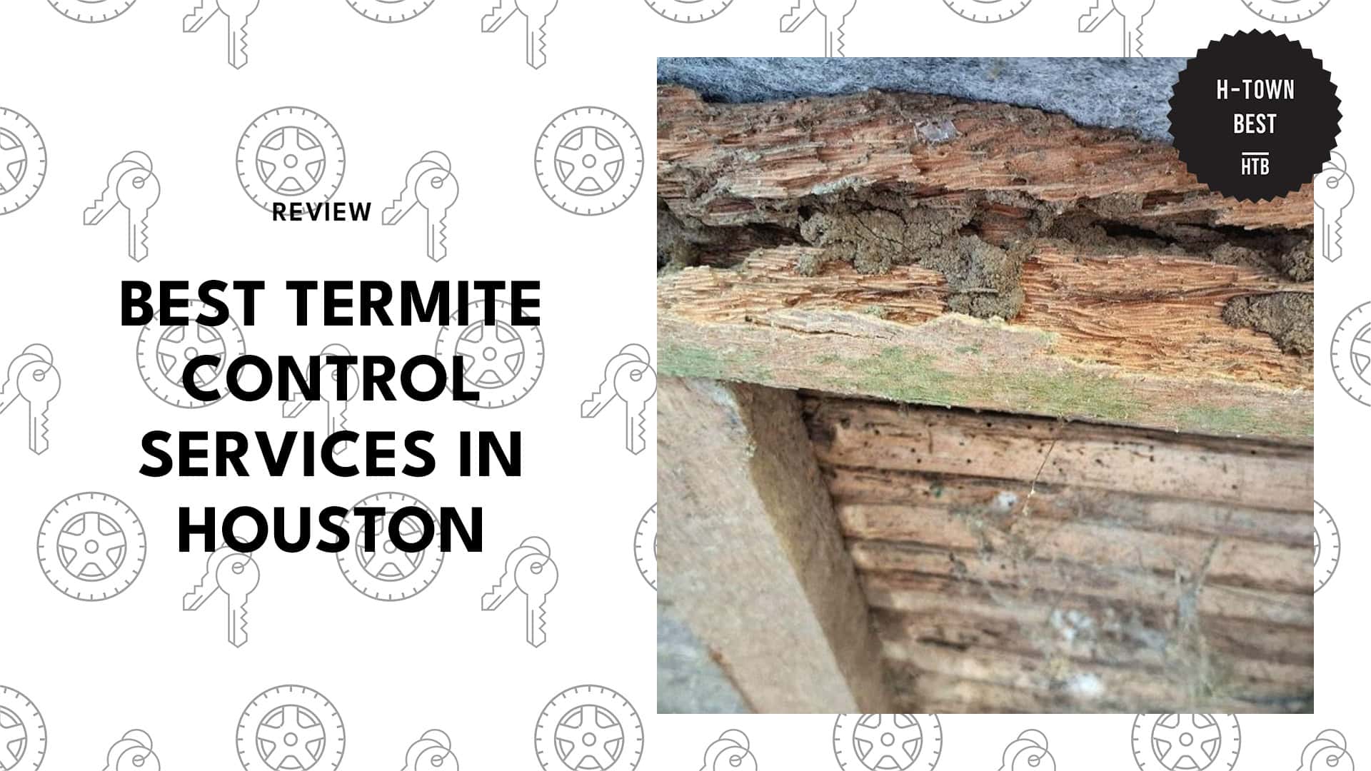 best-termite-control-houston-banner