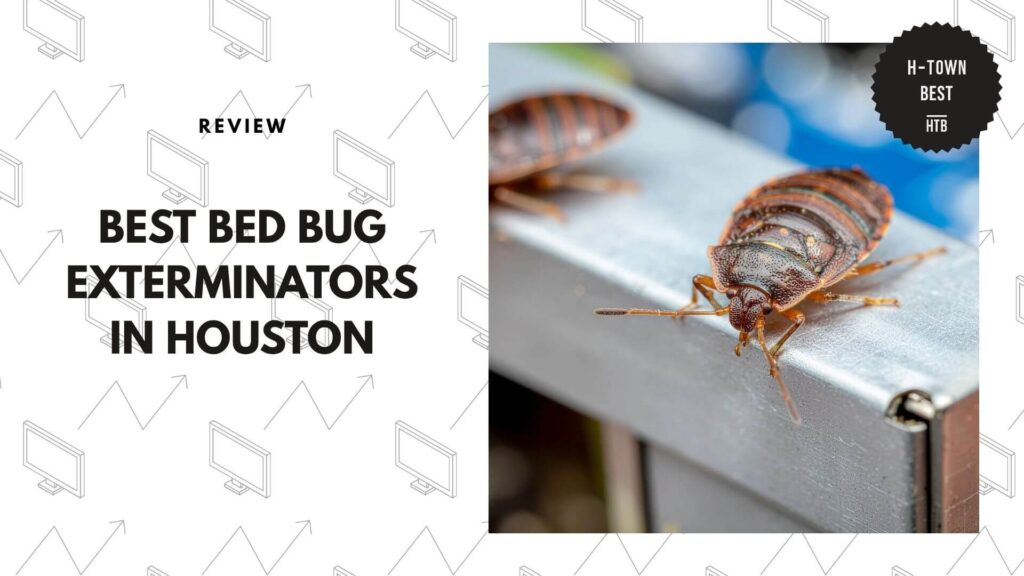 bed-bug-exterminators-in-houston