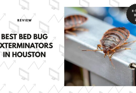 bed-bug-exterminators-in-houston