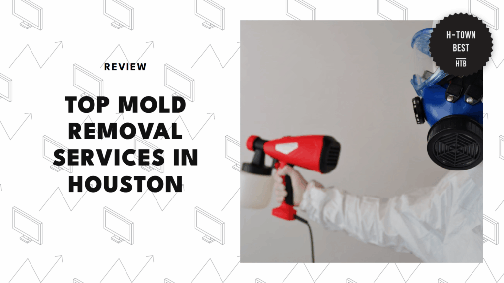 mold-removal-services-in-houston