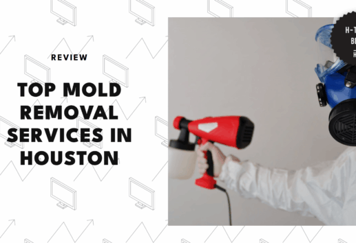 mold-removal-services-in-houston