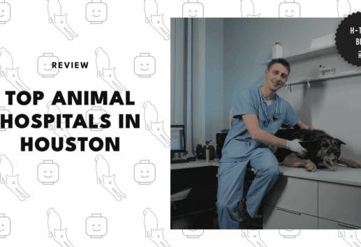 best-animal-hospitals-houston