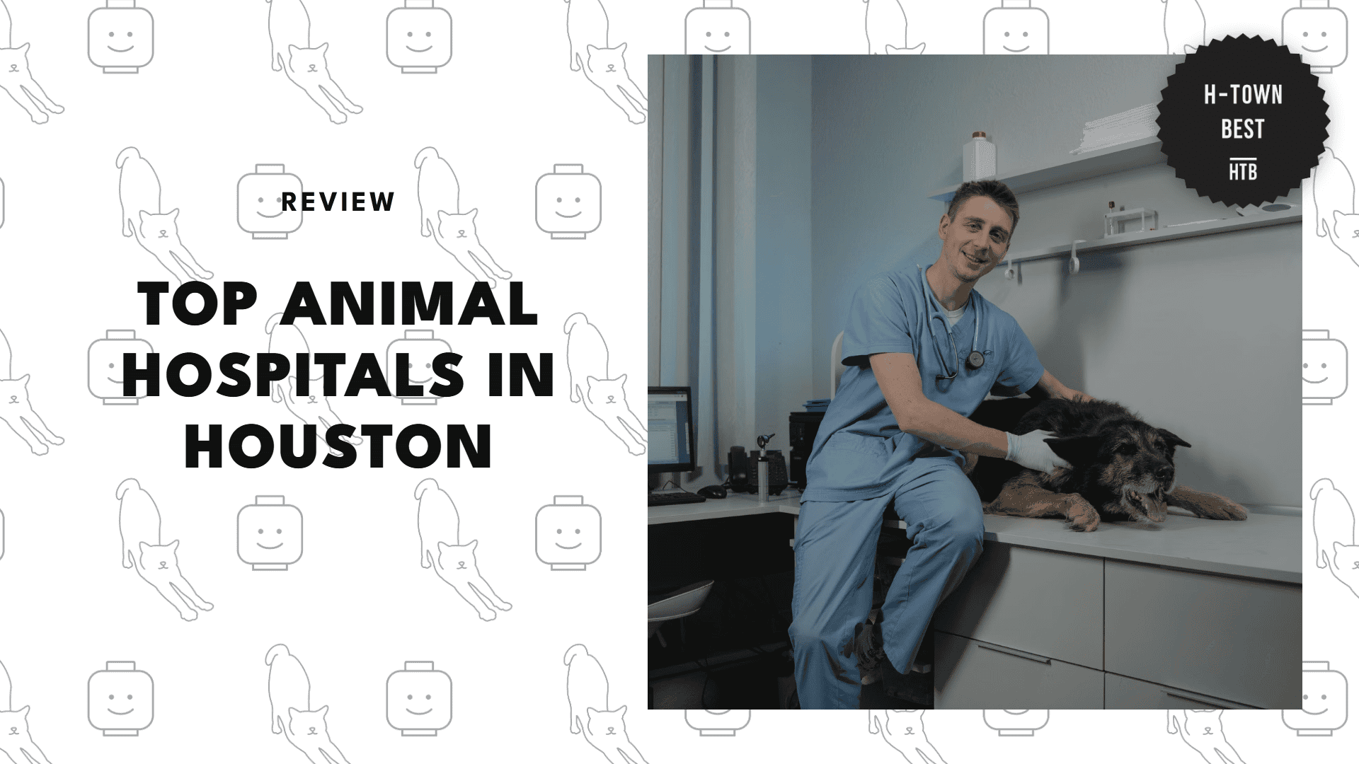 best-animal-hospitals-houston