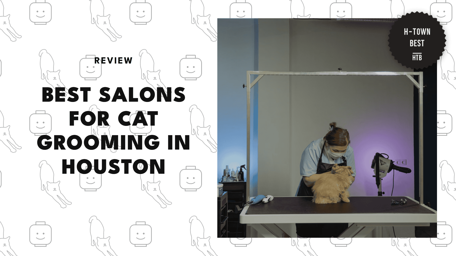 best-cat-grooming-houston