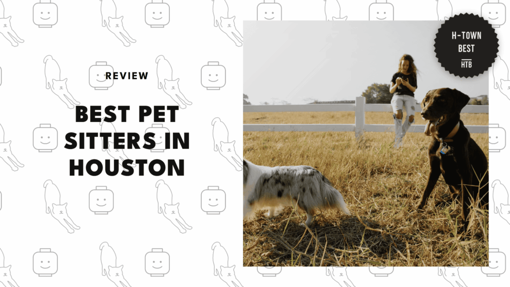 best-pet-sitter-houston