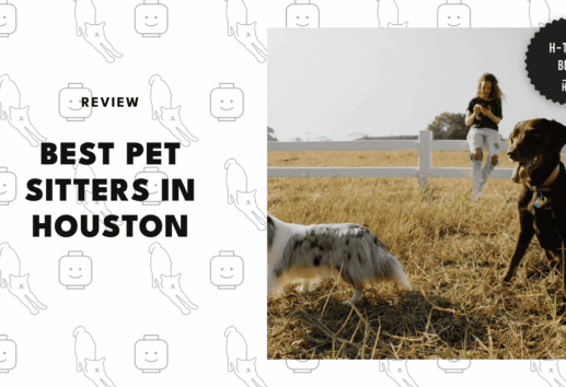 best-pet-sitter-houston